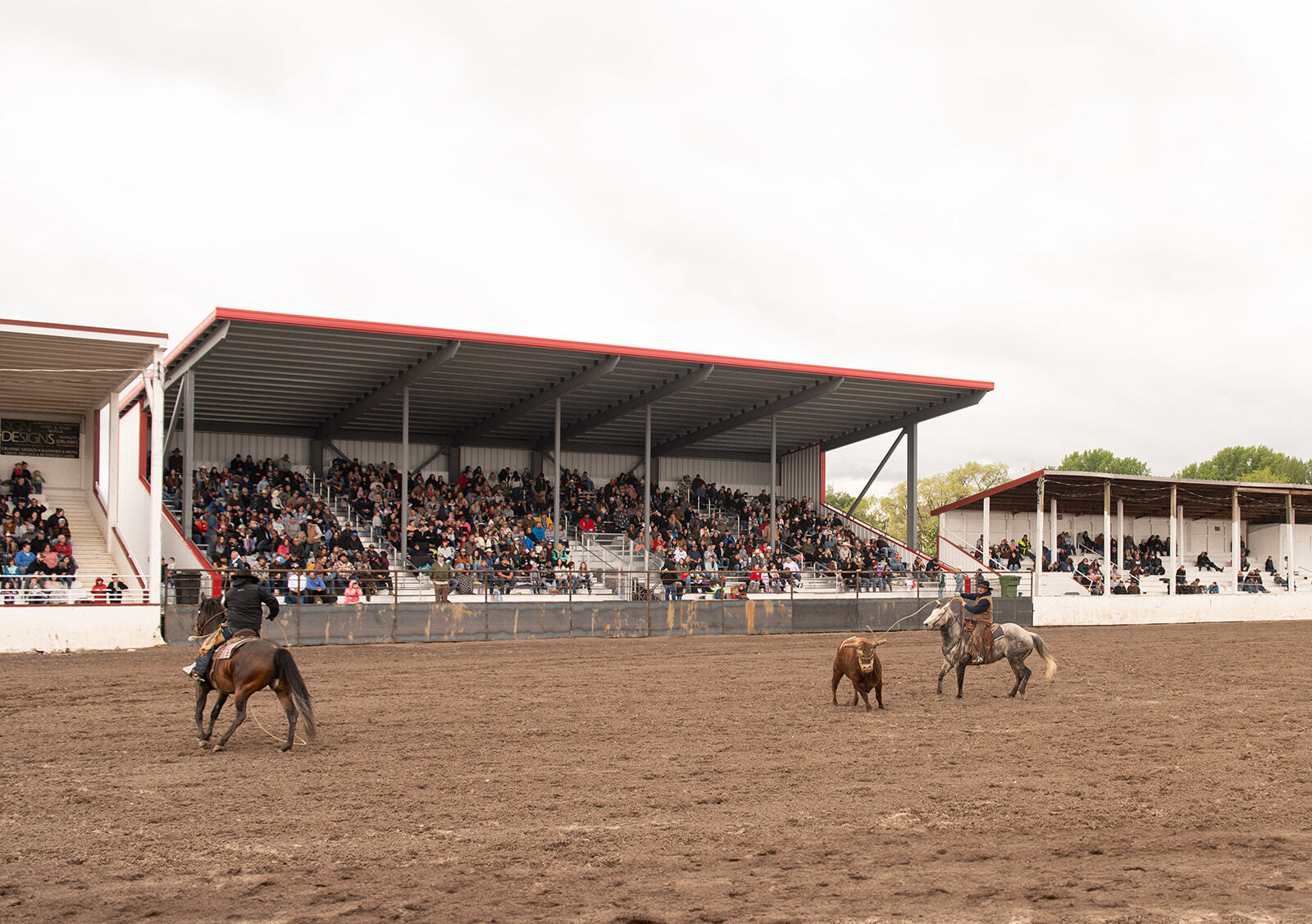 Rigby Rodeo Image